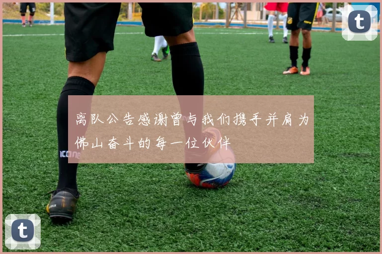 离队公告感谢曾与我们携手并肩为佛山奋斗的每一位伙伴