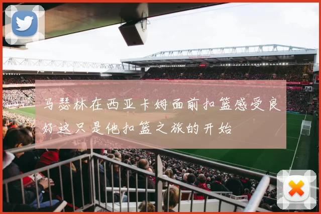 马瑟林在西亚卡姆面前扣篮感受良好这只是他扣篮之旅的开始