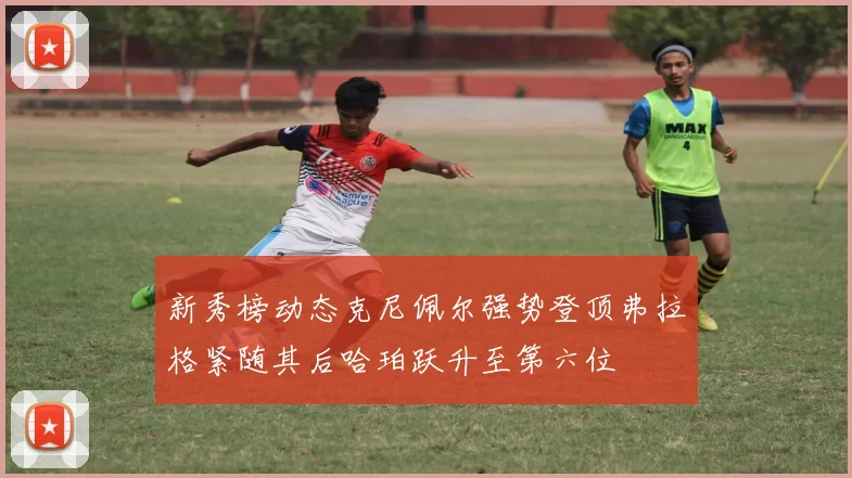 新秀榜动态克尼佩尔强势登顶弗拉格紧随其后哈珀跃升至第六位